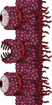 Wall of Flesh